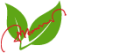 কাজল কানন